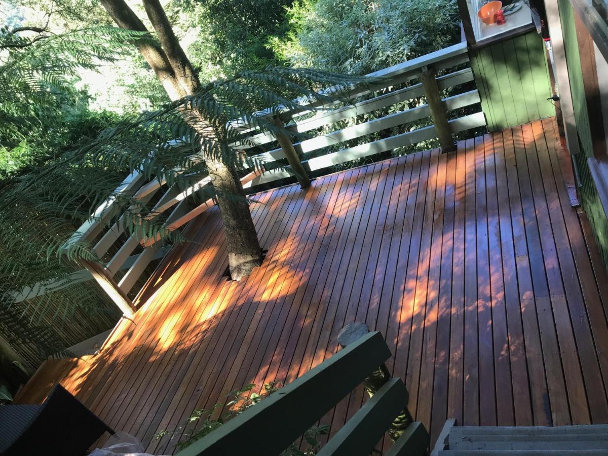 Sassafras Treehouse Private Home In The Dandenong Ranges, Victoria Kültér fotó
