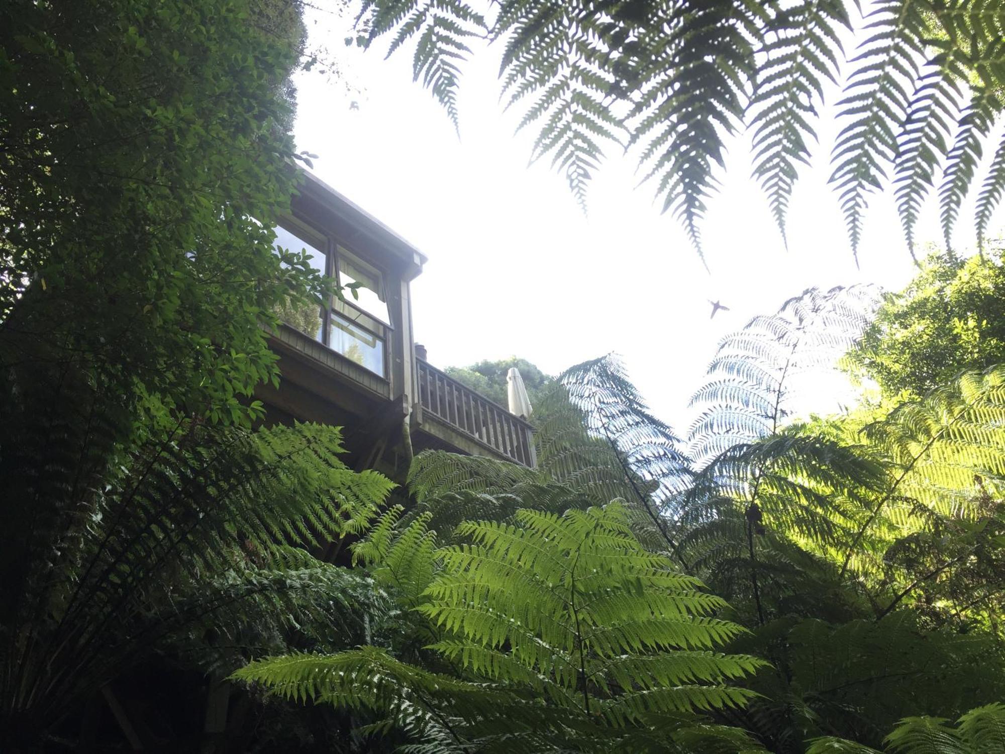 Sassafras Treehouse Private Home In The Dandenong Ranges, Victoria Kültér fotó