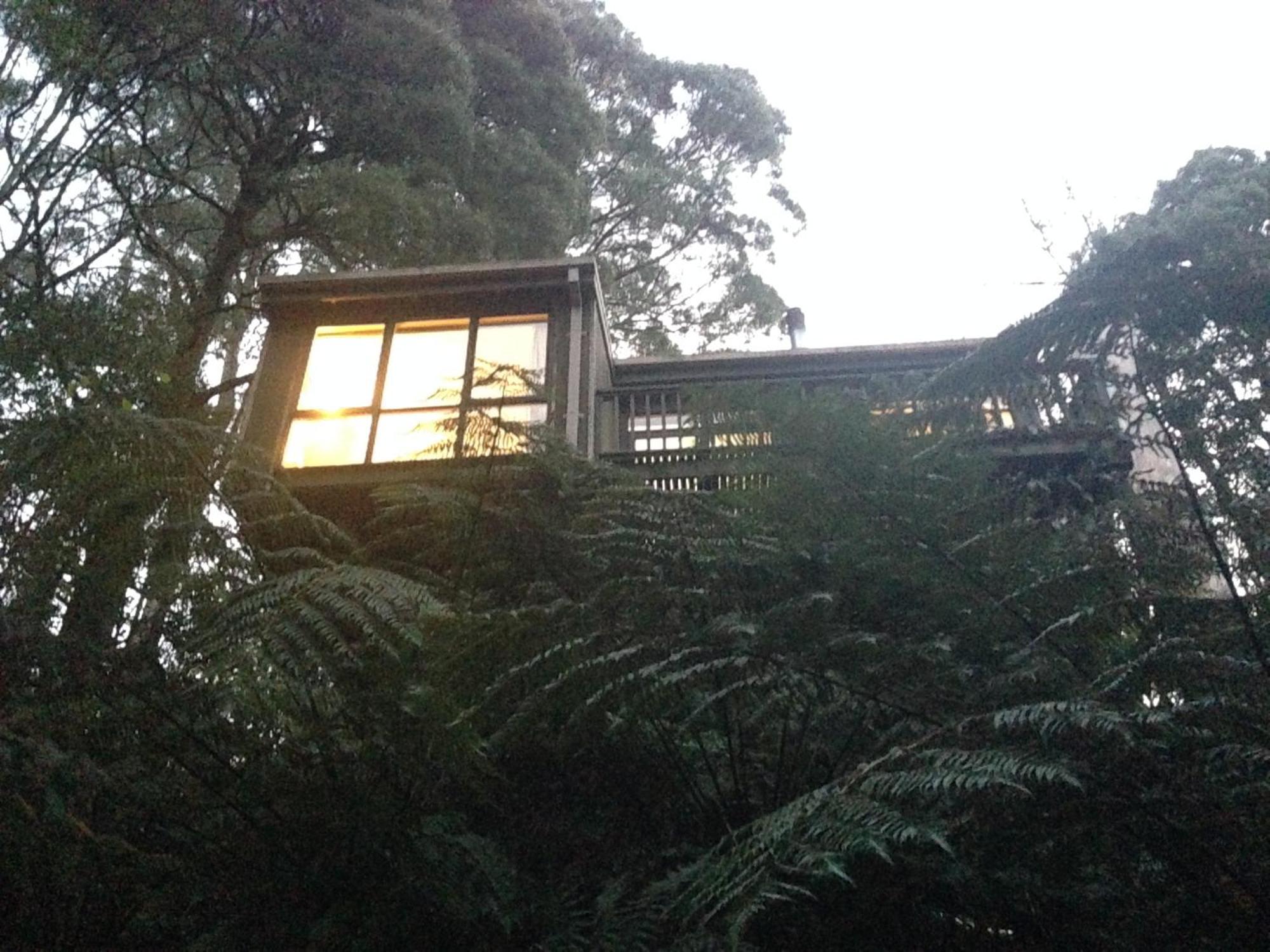 Sassafras Treehouse Private Home In The Dandenong Ranges, Victoria Kültér fotó