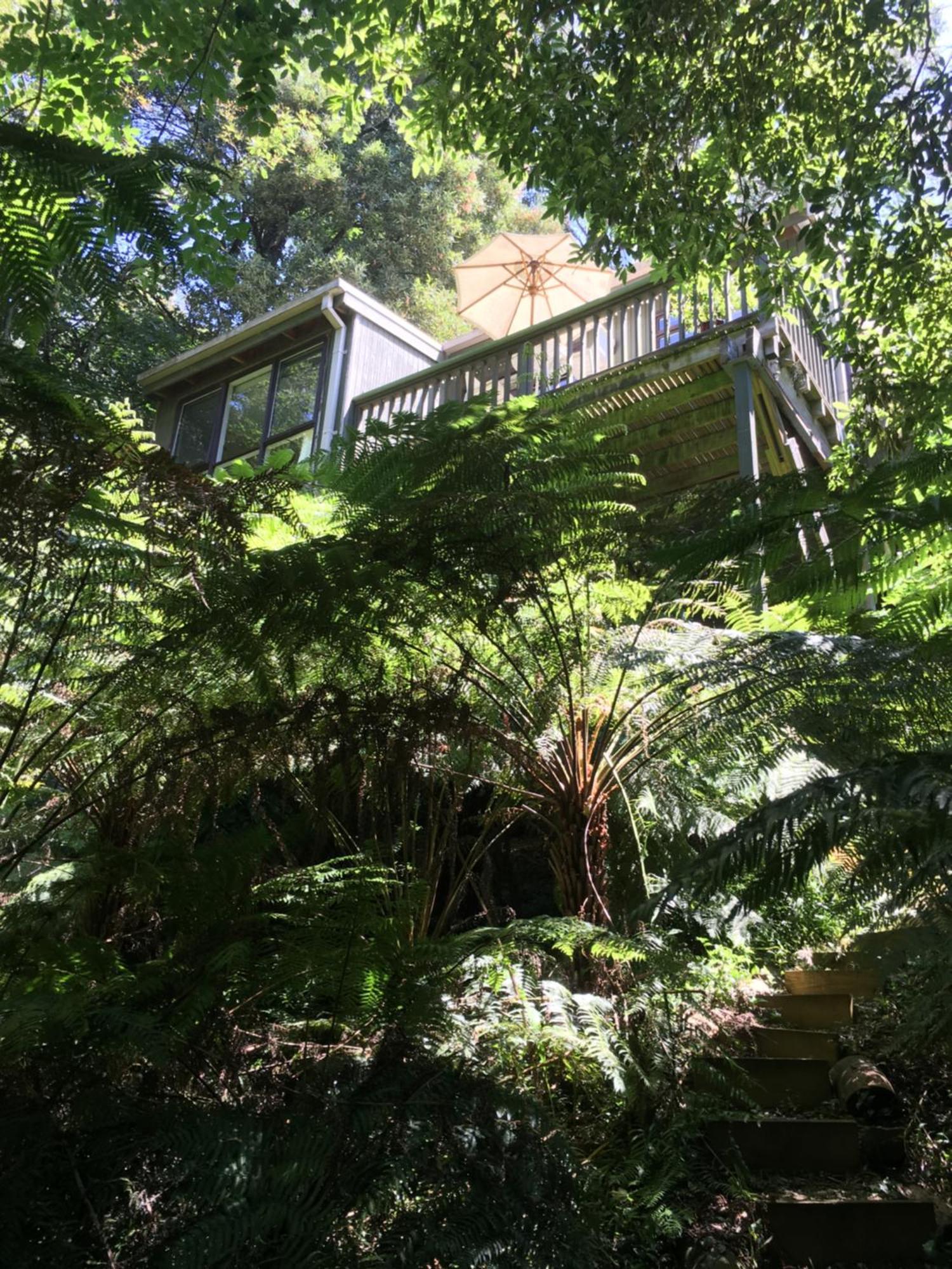 Sassafras Treehouse Private Home In The Dandenong Ranges, Victoria Kültér fotó